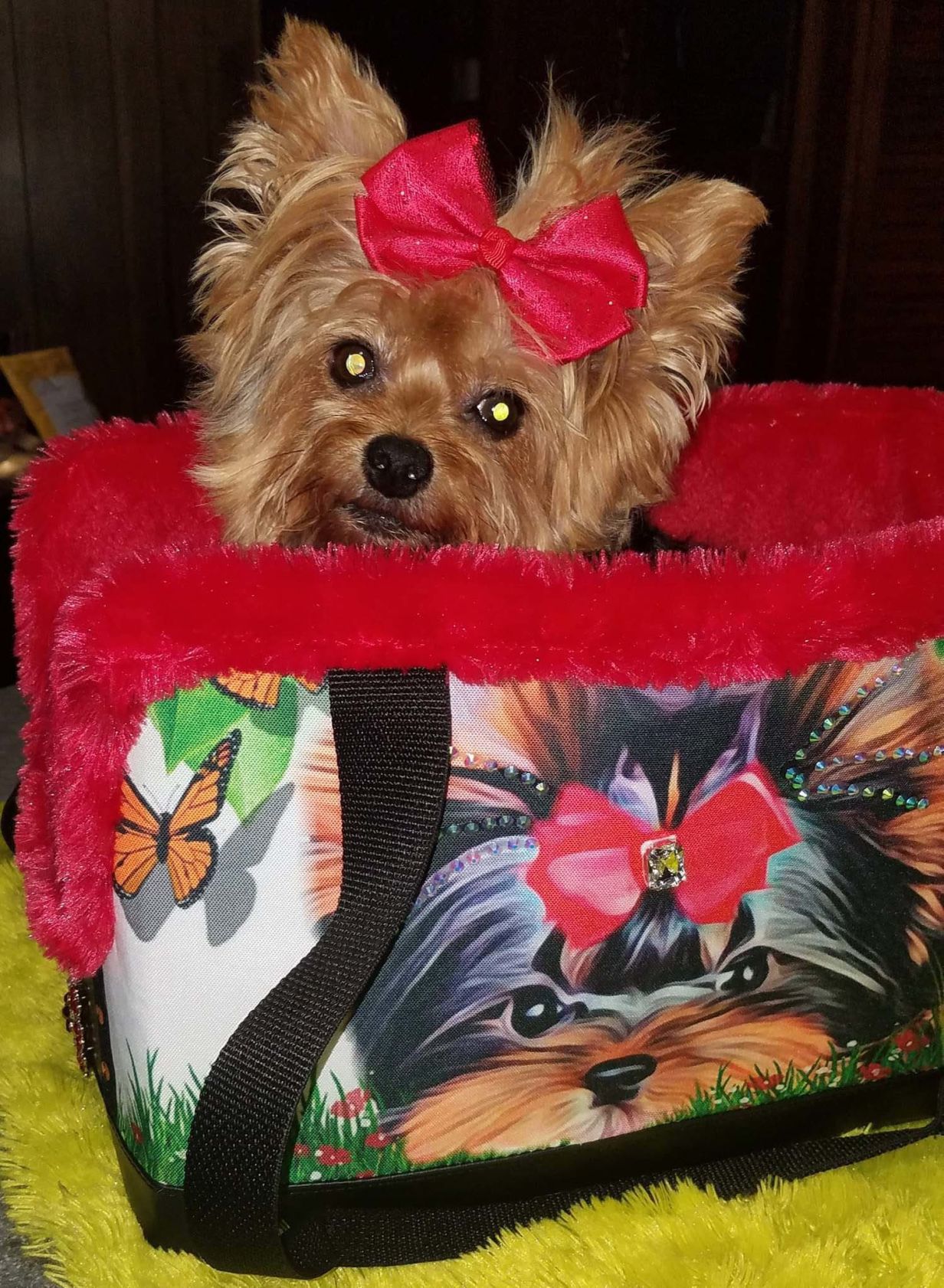 Ready for shopping